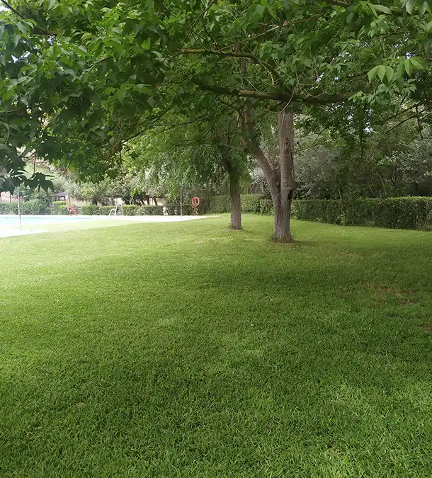 Zona de césped y árboles del Club de Tenis El Campo